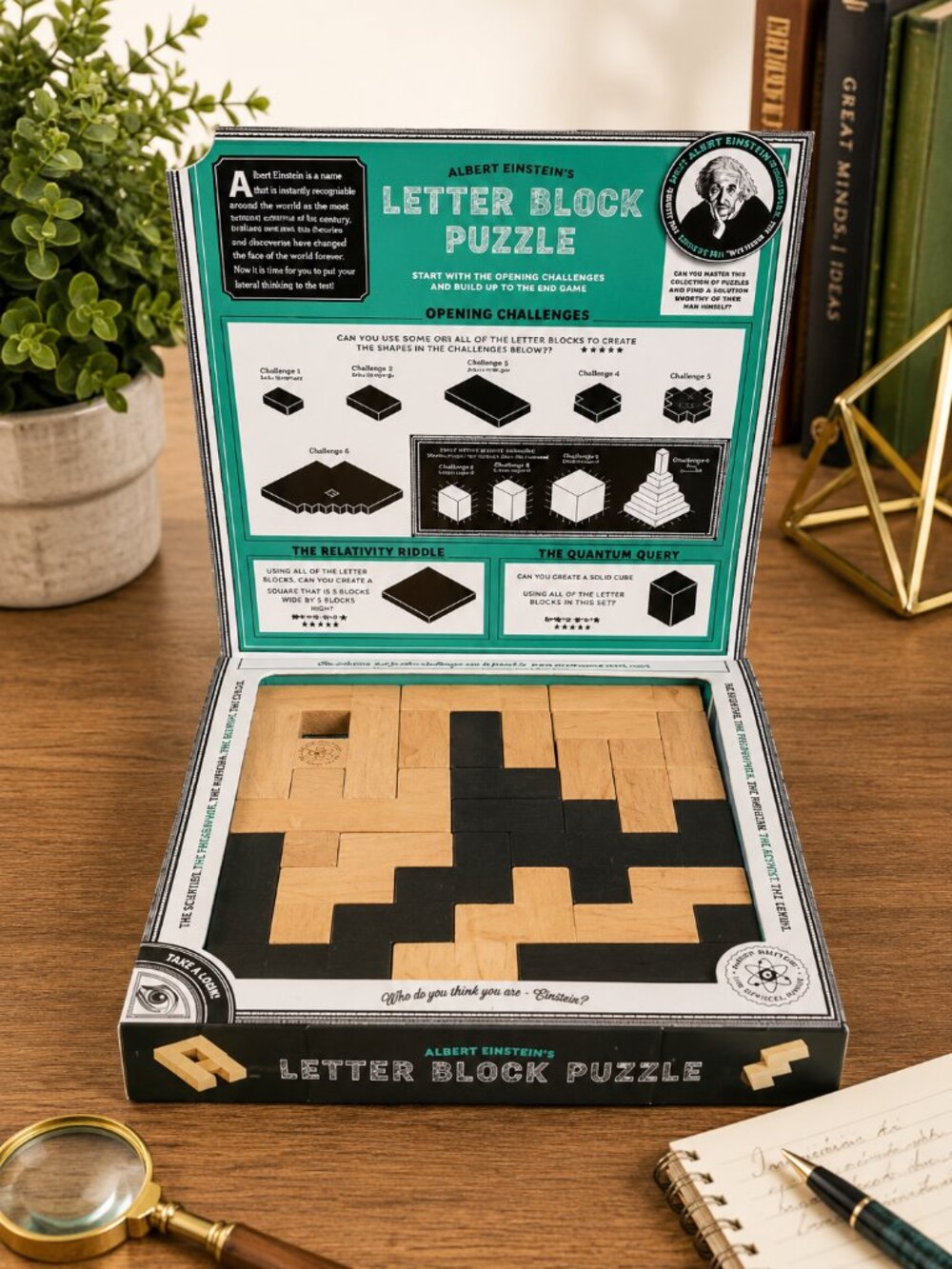 Professor Puzzle Einstein Collection Letter Blocks 3D Brain Teaser 12 Challenges